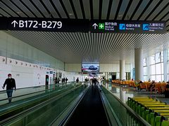 -广州白云国际机场-T2航站楼