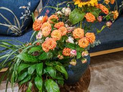 -君霖海鲜私房菜(春柳店)