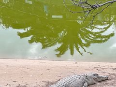 -泉州海丝野生动物世界