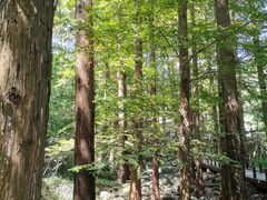 -国家植物园南园