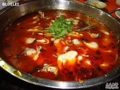 -重庆火锅水库鱼庄(南油店)