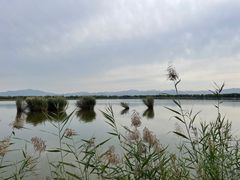 -野鸭湖国家湿地公园
