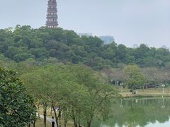 -顺峰山公园