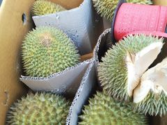 -西郊国际农产品交易中心
