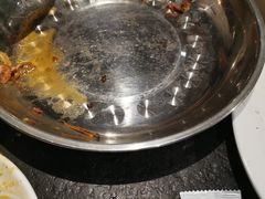 -友乐居羊蝎子(西直门店)