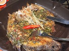 -雀舞云南菜(天津天河城购物中心店)