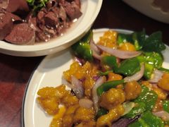 -邵年鸽(杨庄店)