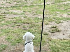 -春花秋色城市公园