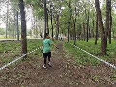 -东郊湿地公园