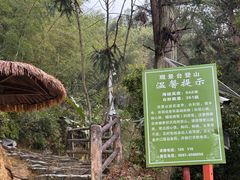 -初溪土楼群