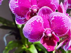 -金典银峰老鹅馆·昆山菜(亭林公园店)