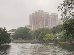 -荔湾湖公园