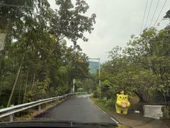 -安吉龙王山风景区