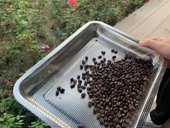-菩提树下茶咖鼓捣