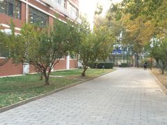 -天津市第二中学