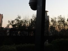 -Bai Meow法式西点咖啡