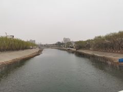 -桃花堤公园
