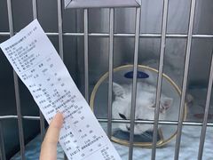 -萌兽医馆·绝育·24小时内科·宠物医院(德胜店)