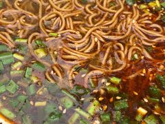 -渭南桃花源民俗文化园