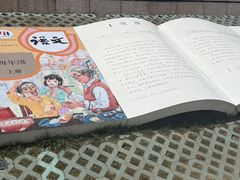 -观潮胜地公园
