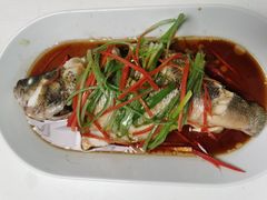 -葱妈母婴医护月嫂中心(浦东店)