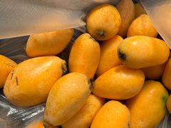 -巴壁馆(海棠花语店)