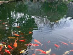 -杭州植物园