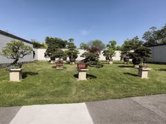 -扬州大运河文化旅游度假区·盆景园