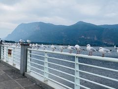 -海埂大坝