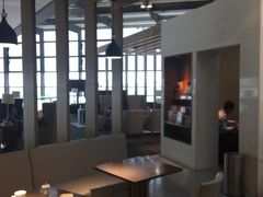 -虹桥机场国航贵宾室v8