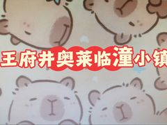 -王府井奥莱临潼小镇(临潼店)