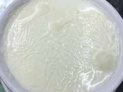 -义顺牛奶公司