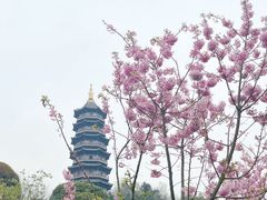 -重庆园博园