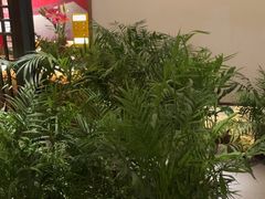 -瑶王府·广西菜(金阳路店)