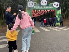 -都江堰中华大熊猫苑