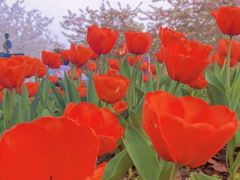 -白沙门生态公园