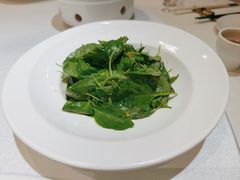 -祥记·国宴豫菜·经典粤菜(郑东新区新长安店)