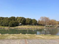 -九里河湿地公园