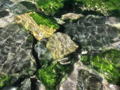 -云龙洗浴商务酒店