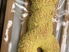 -奈雪的茶(天河城店)