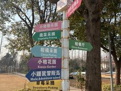 -前小桔亲子创意农场·草莓采摘·露营烧烤