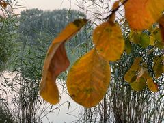 -大兴滨河森林公园