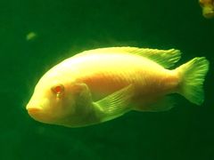 -欢乐海岸海洋奇梦馆