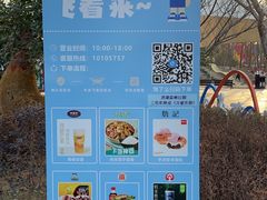 -合肥滨湖国家森林公园