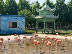 -秦皇岛野生动物园