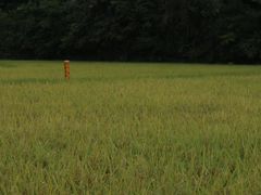 -贵阳市花溪国家城市湿地公园