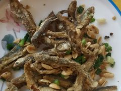 -胖大姐黄辣丁鱼庄(新津店)