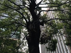 -肥朵食堂(带梦胡同店)