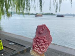 -西湖游船