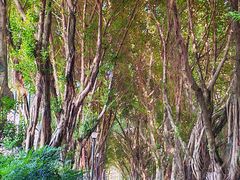 -西南政法大学(渝北校区)